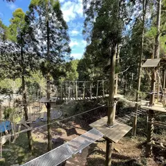 アドベンチャーパーク森のかわなべ