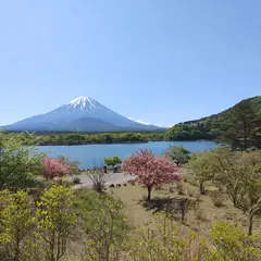 富士山撮影（精進湖）