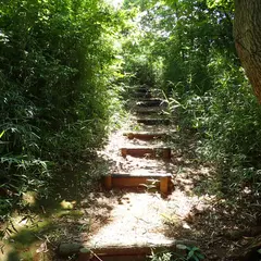 市ケ尾町公園