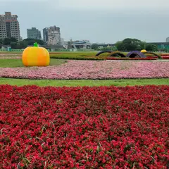 中正河浜公園 Zhong Zheng Riverside Park