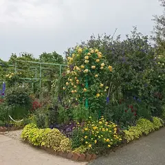 花の美術館