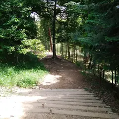 仙元山公園