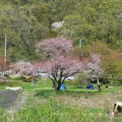 馬見ヶ崎河川公園内キャンプ場