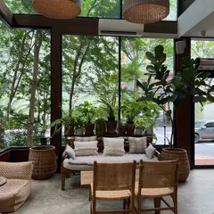 MiVana Organic Forest Coffee