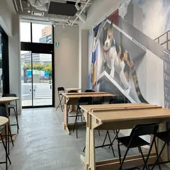 新宿東口の猫のカフェ