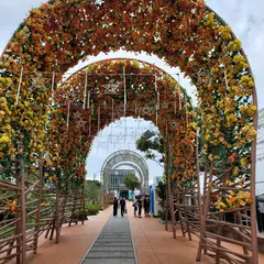 미포 블루 라인 광장(Mipo Blue Line Park)