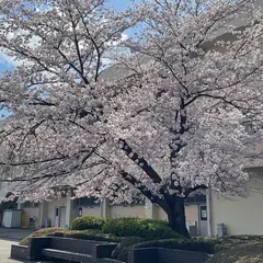 大阪府立成美高等学校
