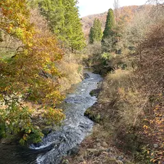 森林公園くつきの森