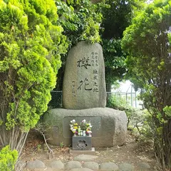 櫻花公園