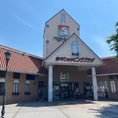 本場インド料理スターサンジ 安中店