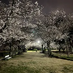 岩ヶ平公園