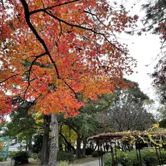 松葉公園
