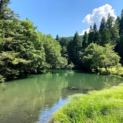菖蒲池