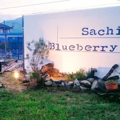 幸（Sachi）Blueberry Farm ブルーベリー狩り