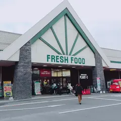 プラント5