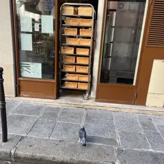 Carré Pain De Mie