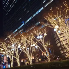 Hotel Star Yeoksam ホテル