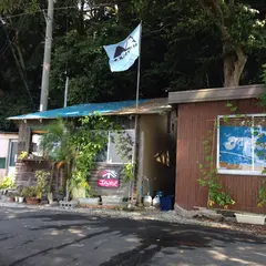 T-flow. Water Sports Shop.