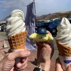 New ice cream shop