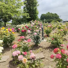 アグリパークバラ園