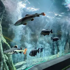 ロッテワールドアクアリウム/Lotte World Aquarium/롯데월드아쿠아리움