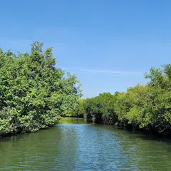 台江国家公園