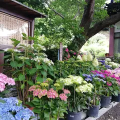仁平寺