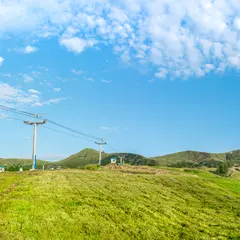 ハチ高原