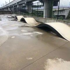 大谷津運動公園スケートボードパーク