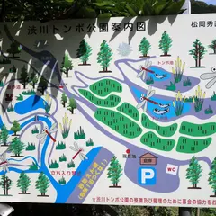 渋川トンボ公園