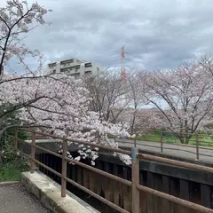 長津川ふれあい広場