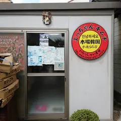 よっちゃんキムチ