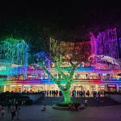 Cebu Ayala Center Garden