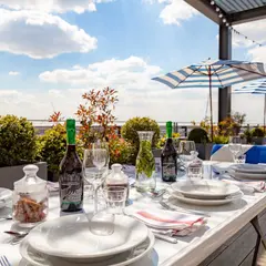 Skylark Roof Garden