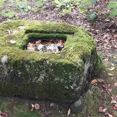 浮木神社