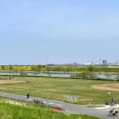 江戸川河川敷（柴又）野球場