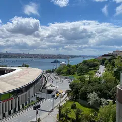 The Ritz-Carlton, Istanbul