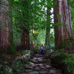 瀧尾神社の参道