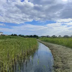 北方遊水池