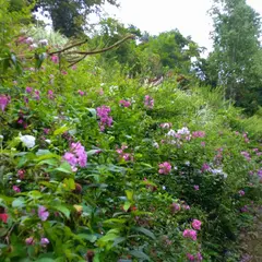 陽殖園