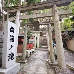 白藤大神