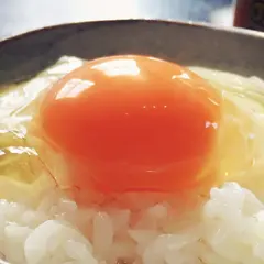 野田養鶏園