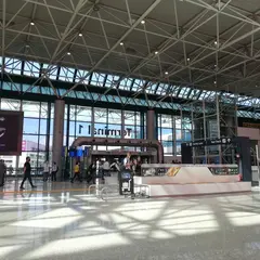 Fiumicino Airport T1