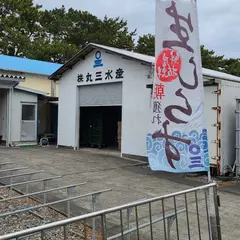 しらす屋（株）丸三水産