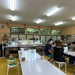 田代島にゃんこ共和国島のえき