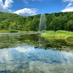 七色の噴水