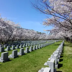 厚田公園