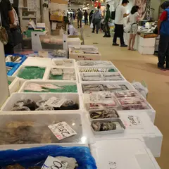 築地京富