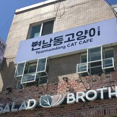 연남동 고양이 카페 yeonnamdong cat cafe