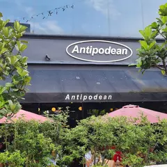 Antipodean Cafe